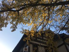 -径山寺
