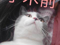-半岛宠物医院24小时(科华中路店)
