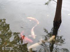 -茵特拉根酒店·西餐厅