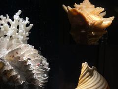 -中国湿地博物馆