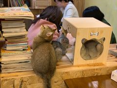 -猫色咖啡·猫咖