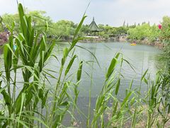 -无锡蠡湖国家湿地公园-蠡园