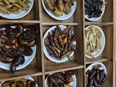 九宫格-昆虫窝子·特色云南菜(拓东路总店)