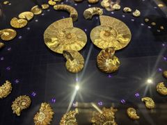 -青岛贝壳博物馆