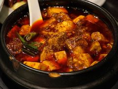 -陈麻婆豆腐总店