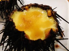 海胆蒸蛋-海胆小馆(春柳店)