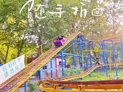 -上海共青森林公园