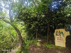 -上海佘山国家森林公园天马山园