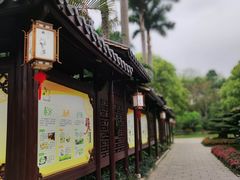 -金花茶公园