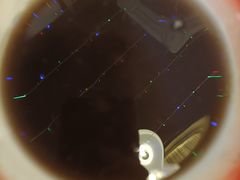 -老三样·美食研究中心(世贸路店)