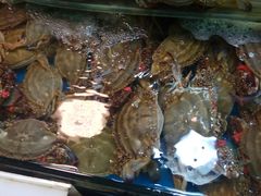 -三旗百汇商品城