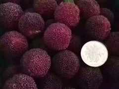 -瑞和泰超市(传媒店)