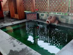 -福州贵安·温泉世界