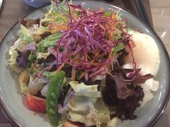 -新鲜特色餐厅(香格里拉大酒店)