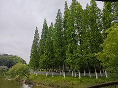 -宜兴龙背山森林公园