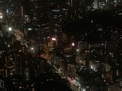 -六本木新城展望台(东京城市景观)