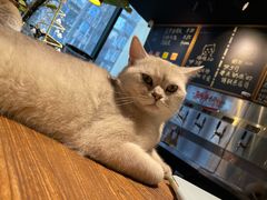 -后院儿·精酿·塔罗Happy Bar
