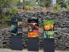 -怀托摩萤火虫洞