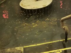 -观唐（国际）度假村温泉
