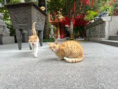 -福州开元寺