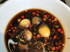-甲鱼张甲鱼铺子(观沙岭店)