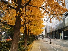 -邓记新一代糖油果子(四川煤管局供销公司职工宿舍店)