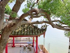 景点-仓山金山寺