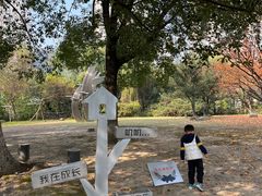 -苏州河梦清园环保主题公园