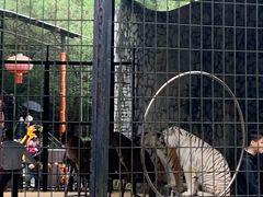 -贵州森林野生动物园