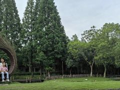 -乌村