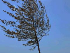 -白沙门生态公园