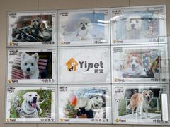 -翊宠yipet猫狗购宠庄园犬舍•猫舍
