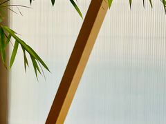 -Green Option(官舍店)