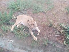 -新疆天山野生动物园