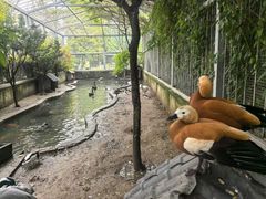 -水绘园