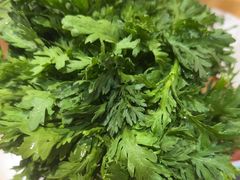 -蜀九香火锅(彩虹店)