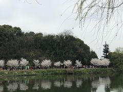 -团城山公园