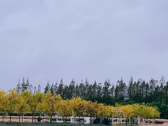 -嘉北郊野公园
