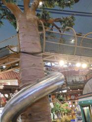 -卡通尼·Safari非洲探索乐园·生日会(金桥国际商业广场店)