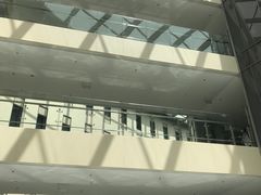 -首都医科大学附属北京天坛医院