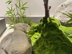 -松子料理(亮马桥店)