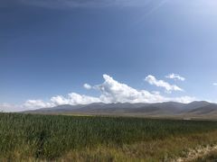 -青海湖国家重点风景名胜区