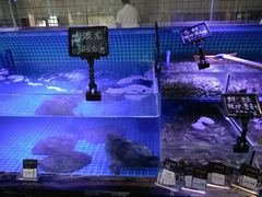 -渔民船说·北塘海鲜·天津菜·海肠捞饭(北塘古镇店)