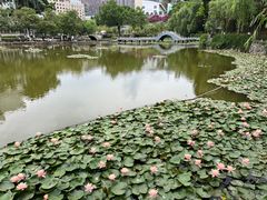 -攀枝花公园
