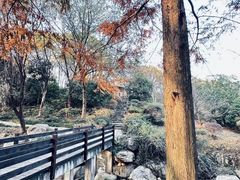 -宝界山林公园