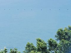 -西涌国际滨海旅游区