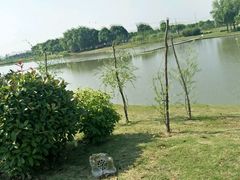 -上膳源有机农场