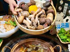 -一善菌·云南菌汤·云南菜(银泰城店)