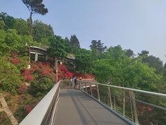 -狐尾山公园