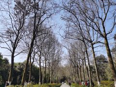 -杭州植物园